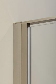 Душевая дверь Allen Brau Priority 90 3.31002.BA профиль Серебро